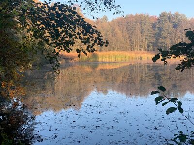 Ute_KT2021_10
