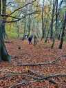 Filename=Dagmar_KT2021_13.jpg
Filesize=839KiB
Dimensions=1500x2000
Date added=Nov 02, 2024 Dagmar_KT2021_13.jpg