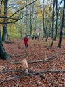 Filename=Dagmar_KT2021_14.jpg
Filesize=603KiB
Dimensions=1024x1365
Date added=Nov 02, 2024 Dagmar_KT2021_14.jpg