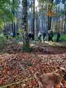 Filename=Dagmar_KT2021_15.jpg
Filesize=860KiB
Dimensions=1500x2000
Date added=Nov 02, 2024 Dagmar_KT2021_15.jpg