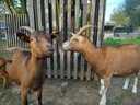 Filename=Ute_KT2021_04.jpg
Filesize=425KiB
Dimensions=1600x1200
Date added=Nov 02, 2024 Ute_KT2021_04.jpg
